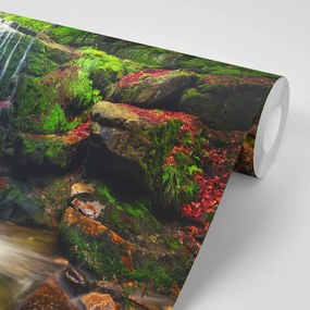 Фототапет – Водопад в гората