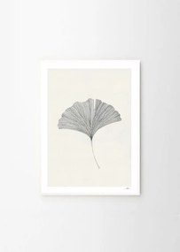 Постер 50x70 cm Ginkgo Leaf – Ana Frois – The Poster Club