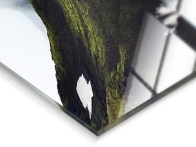 Стъклена картина 120x80 cm Fjallabak – Styler