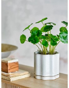 Глинена саксия за цветя за билки ø 13 cm Argyle – Bloomingville