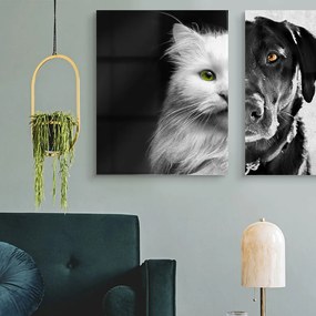 Комплект стъклени арт пана Котка и Куче
