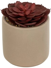 Изкуствено растение atmosphera Nils, 12 cm, Различни видове