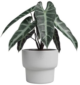 Керамична ръчно изработена саксия за цветя ø 17 cm Echo – Artevasi