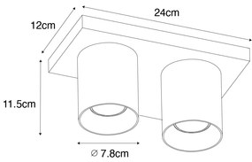 Модерен таванен прожектор бял 2-светлина - Tubo
