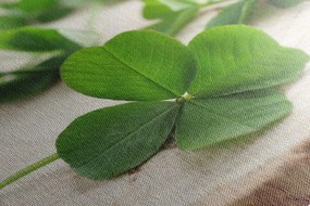 Картина на платно – Зелени четирилистни детелини