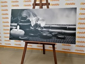 Картина на платно – Фън Шуй натюрморт в черно-бяло