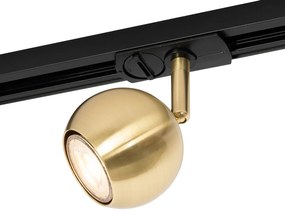 Модерен 1-фазен релсов прожектор черен със злато - Gissi