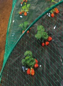 Мрежа за защита от птици Birdnet - Екструдирана 8 х 10 метра