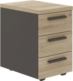 Скрин Orderly-Mauro