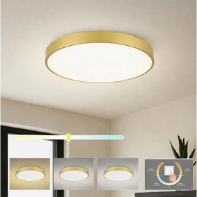 Brilagi - LED таванен осветител POOL LED/60W/230V 3000/4000/6000K, диаметър 60 см, златист