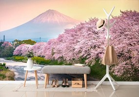 Самозалепващ фототапет – Великолепна Япония