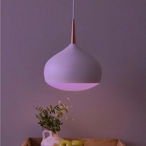 Eglo 97087 - LED RGBW димируема висяща лампа COMBA-C LED/18W/230V