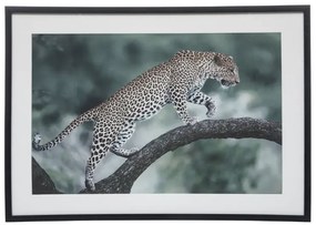 Картина atmosphera Juni, 50x70 cm