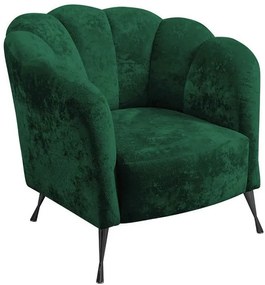 Фотьойл Adria-Зелено - черно