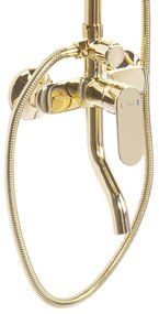 Комплект за душ REA SALTON GOLD