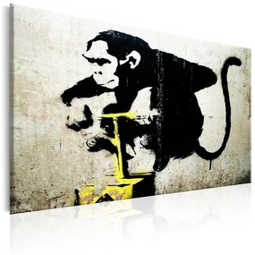 Canvas Seal - Monkey Detonator от Banksy 60x40