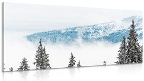 Картина на платно – Заснежени борови дървета