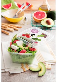 Комплект от 3 класически кутии за храна, 1 л - Snips