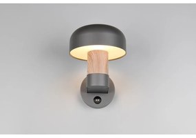 Стенно външно осветително тяло (височина 24,5 cm) Fraser – Trio