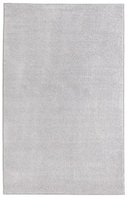 Светлосив килим , 160 x 240 cm Pure - Hanse Home