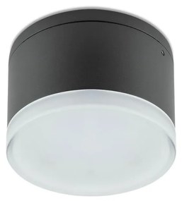 Redo 90107 - Външно LED осветление за таван AKRON 1xLED/9W/230V IP54