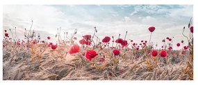 Живопис върху платно , 60 x 150 cm Poppies - Styler