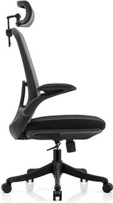 Изпълнителен стол CG3950-Gkri