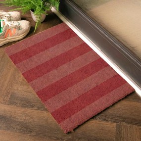 Изтривалка от кокосови влакна 40x60 cm Pink Stripe – Artsy Doormats