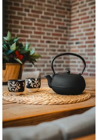 Порцеланово чугунен черен комплект за чай Sichuan – Bredemeijer