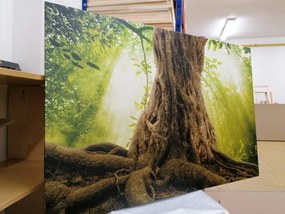 Картина на платно – Корен на дърво