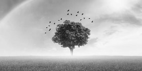 Картина на платно – Самотно дърво на поляна в черно-бяло