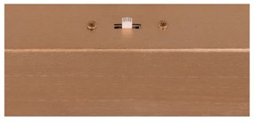 LED висяща лампа с метален абажур в златисто Nala - Trio Select