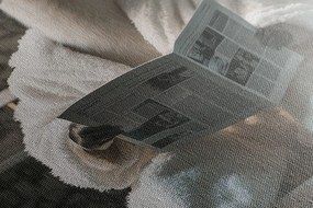 Картина на платно – Алпака с вестници в тоалетната