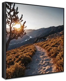 Картина 50x50 cm Mountain Path – knor