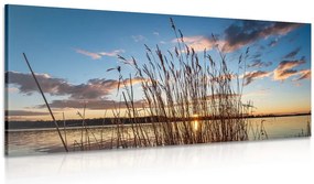 Картина на платно – Спокойна река до село
