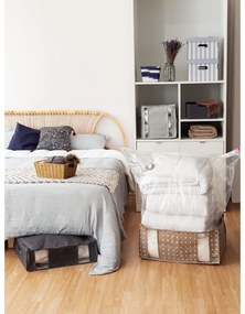 Картонени кутии за съхранение с капак в комплект от 2 броя Stripes - Compactor