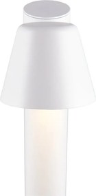 Колонно външно осветително тяло ø 11,5 cm Beni – Trio