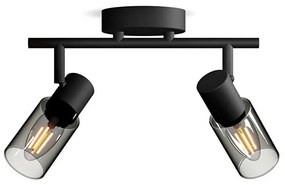 Philips - Спот PALMS 2xE14/25W/230V