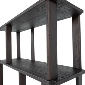 Тъмнокафява библиотека от масивен дъб 90x186x30 cm Riss – WOOOD