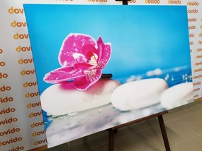 Картина на платно – Орхидея и Зен камъни
