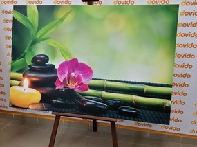 Картина на платно – Фън Шуй хармония