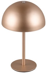 LED настолна лампа в бронзов цвят с метален абажур (височина 21 cm) Munoz – Trio