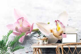Самозалепващ фототапет – Цветя орхидеи