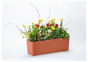 Пластмасова самополиваща се саксия за цветя 39,5 cm Berberis – Plastia