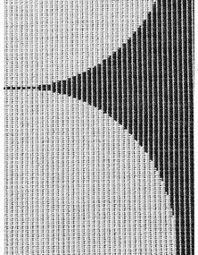 Черно-бялa пътека за открито и закрито 80x250 cm Duet Bowen – NORTHRUGS