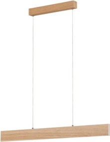 Eglo 39344 - LED полилей на кабел CLIMENE LED/17W/230V + LED/4,2W дъб