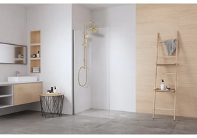 Матово златист душ комплект от неръждаема стомана 101 cm Young Line – Wenko