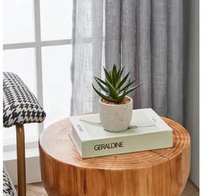 Eglo 428012 - Изкуствено растение CHITOSE 15,5x10 см, сукулент в саксия