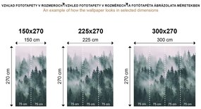 Фототапет – Зимен пейзаж