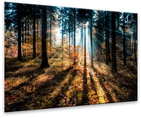 Картина Glasspik , 70 x 100 cm Autumn Sunset - Styler